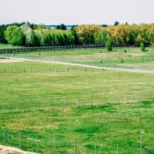 Комплексне обслуговування парку природи «Беремицьке»
