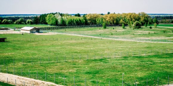 Комплексне обслуговування парку природи «Беремицьке»