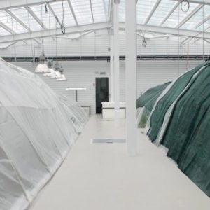 Комплексне обслуговування і модернізація інженерних мереж розплідника декоративних рослин «Лотос К»